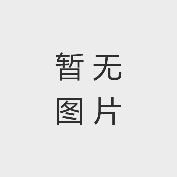 低氮燃烧器行业最新报告